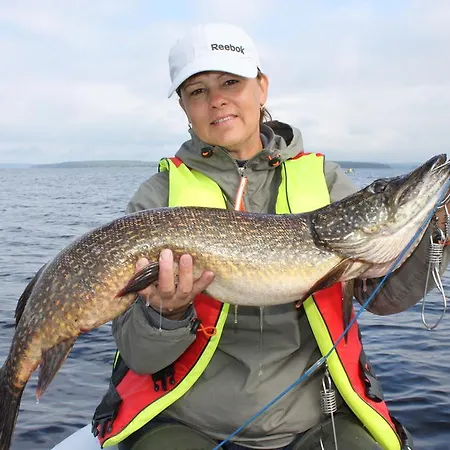 Kolicarelia Dom wakacyjny *