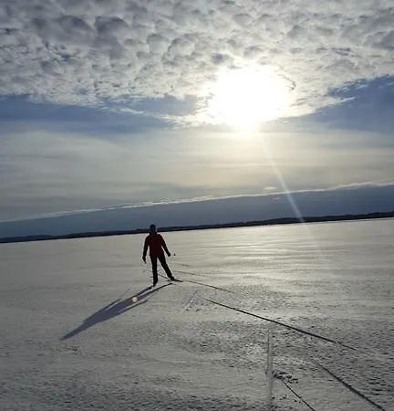 Kolicarelia Hattusaari