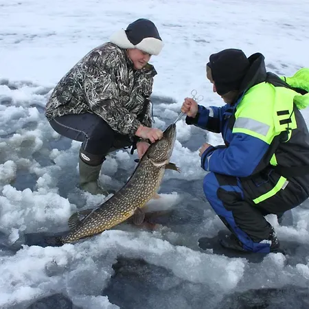 度假居 考利卡瑞雅度假屋 *