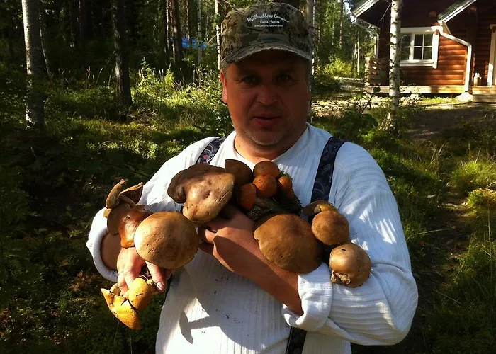 Дом отдыха Kolicarelia