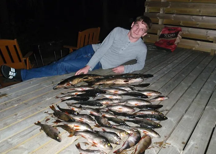 Kolicarelia Hattusaari