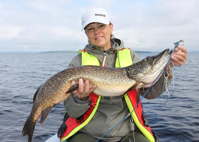 Kolicarelia Дом отдыха *