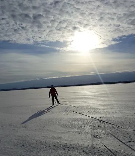 Kolicarelia Hattusaari
