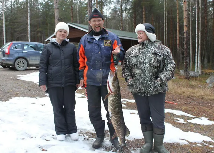 Kolicarelia Дом отдыха *