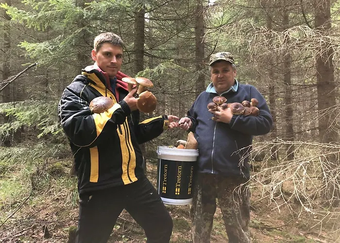 Дом отдыха Kolicarelia *