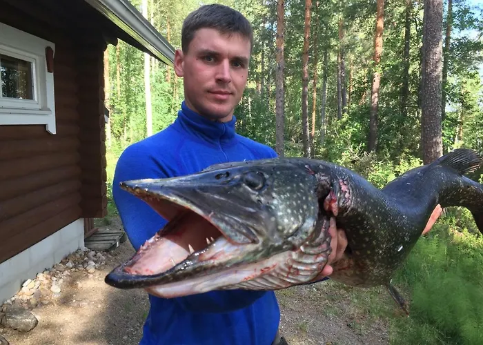 Дом отдыха Kolicarelia