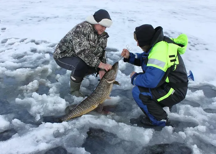 Дом отдыха Kolicarelia *